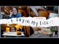 Day In The Life || 11/18/23 || Baking - Thrifting - Gardening - Quilting