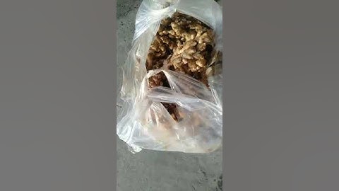 cách cạo vỏ gừng