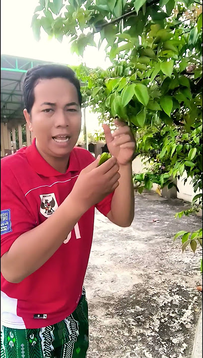 Buah Apa Itu Dek #funny #fruit #farming #comedy #shortvideo #mommy #subscribe #shorts #trending