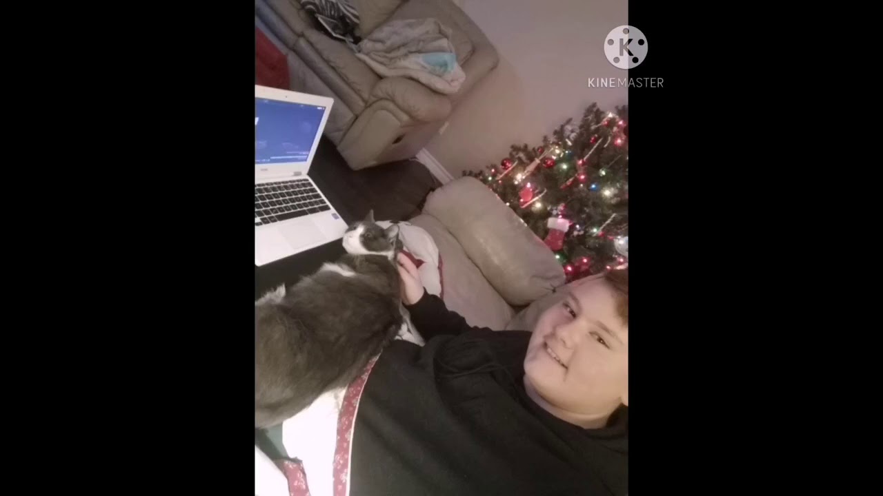 I have a weird 🐱!