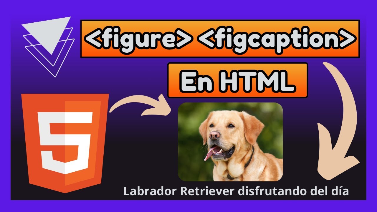 Cómo usar etiqueta figure y figcaption Elementos de figura y título de ...