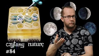 Czytamy naturę #84 | Sztuczny człowiek in vitro - Księżyc i miesiączka - Turbulentne mydliny