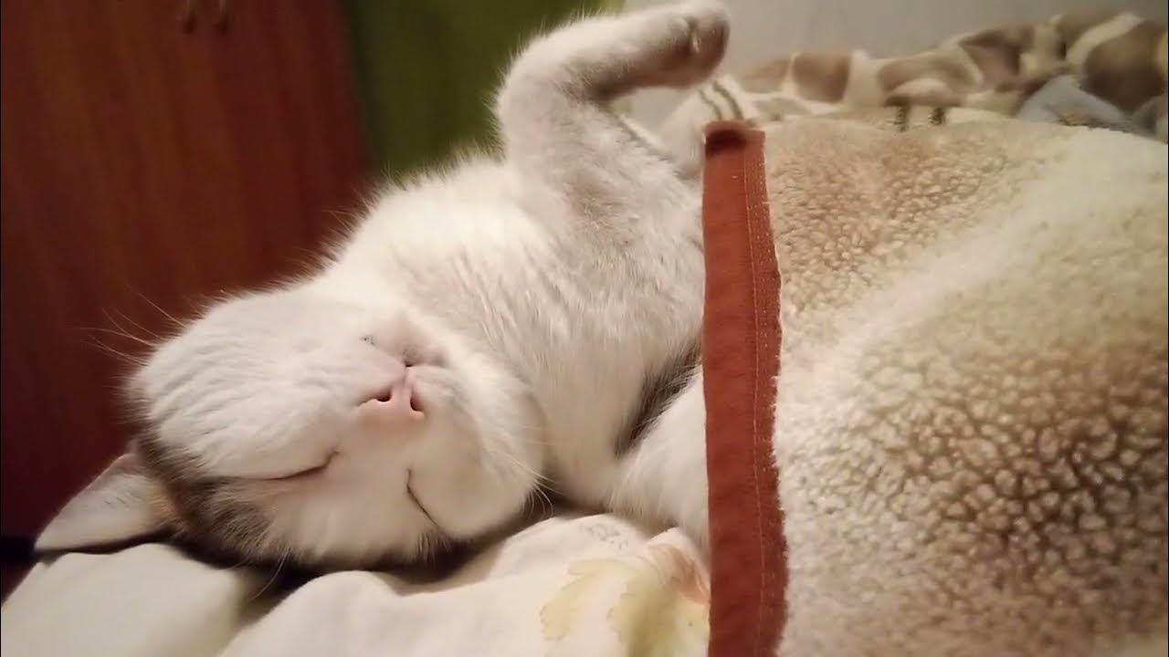 христианские стихи. красивые стихи о жизни. сердце бога. жизнь прекрасна. ты с нами бог.