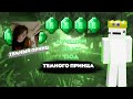 ТЕМНЫЙ ПРИНЦ В ПРАЙМЕ | TRIADAMC | ARESMINE | FUNTIME