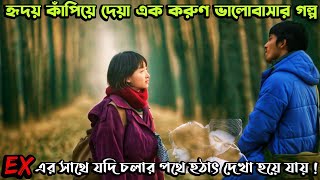 ( যে ভালোবাসার গল্পে কাঁদবেন আপনিও ) Us and Them (2018) Chinese Love Story Movie Explain in Bangla