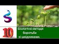 Біологічних методи боротьби зі шкідливими видами