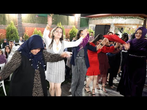 Halay Başı Harika