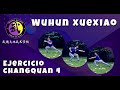 Ejercicio de changquan 4