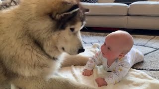 BEST FRIENDS FOR LIFE (cutest video)