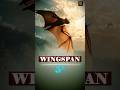 Flying Foxes seen in Rajasthan? | Are they Alien? #flyingfox #shorts #news