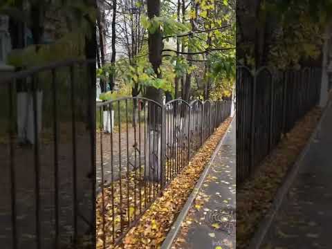 Типичная провинция. Гулькевичи