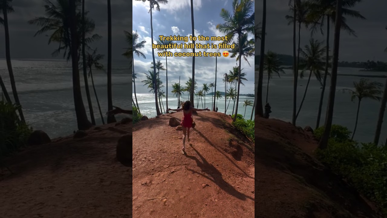 🌴 Coconut Tree Hill 2025: Sri Lanka’s MOST Iconic Sunrise Spot! | Mirissa Secret Revealed 🌅