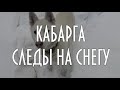 Кабарга, следы на снегу, плейлист Энциклопедия следов