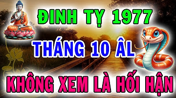KHÔNG XEM LÀ HỐI HẬN! Đinh Tỵ 1977 Tháng 10 Âm 2025  Tiết Lộ CƠ HỘI TRỜI CHO Chỉ Xuất Hiện Một Lần