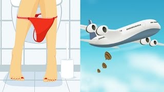 Uçakta Kaka Yapınca Ne Olur Tuvalet Atıkları Nereye Gidiyor