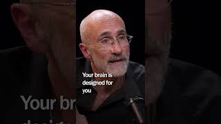 If Youre Never BORED, Your Life Is BORING | Arthur Brooks X Rich Roll Podcast