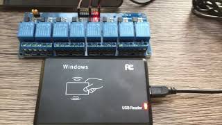 Raspberry Pi 3B+, RFID 125Khz & Relay Module