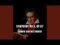 Capture de la vidéo Ludwig Van Beethoven: Symphony No. 5, Op. 67