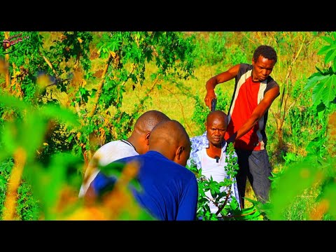 Senior Dave Team In Danger See What Happened To Dave And Fred Bravo 