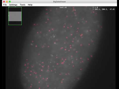 Visualizing smFISH spots detected with RS-FISH using BigDataViewer