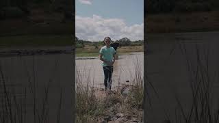 Elephant Approaches a Girl as She Talks to the Camera