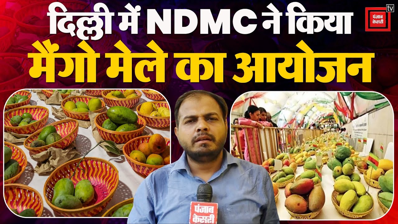 Mango Festival 2025 Delhi: NDMC ने किया मैंगो मेले का आयोजन, जानिए आम की हर एक खासियत!