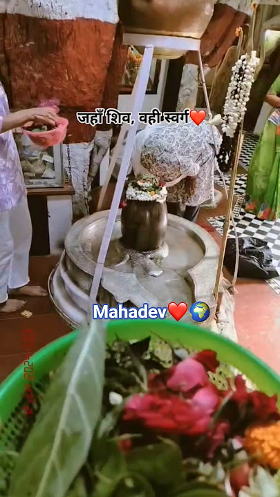 Mahadev ❤️🌍#shiv #mahadev #mahakal #shorts #god #shivshankar #shivparvati #bolenathsong