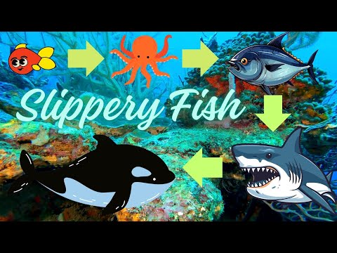 Slippery Fish Song 💦🐬| Kids Rhymes | Laughing Tots