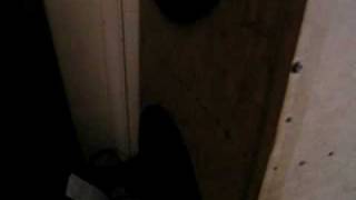 455.AVI