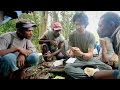 Research Team Dynamics and Expertise