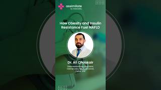 How Obesity and Insulin Resistance Fuel NAFLD