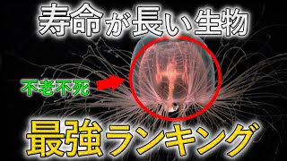 【衝撃】「寿命が長い」生物 最強ランキング＜TOP 10＞