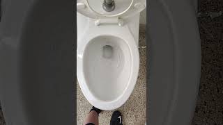 2010S Kohler Kingston Toilet At A Park