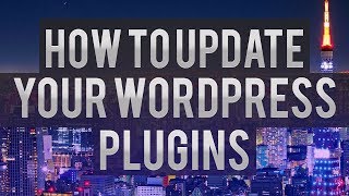 How To Update Your WordPress Plugins