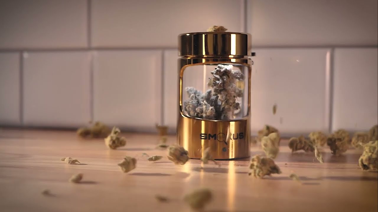 GMO/Garlic Cookies/Chem Cookies - Mamiko Seeds