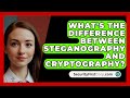 Steganography vs. Cryptography: What's the Key Difference? 🔐