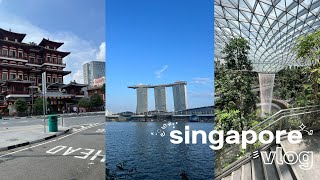 5 days in Singapore Vlog 2024  what I eat in SG, local foods, must visit, travel guide, hidden gem