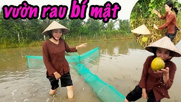 Phát Hiện Vườn Bí Mật Nằm Giữa Cánh Đồng Bình Yên Nơi Miền Quê (Garden in the middle of the field)