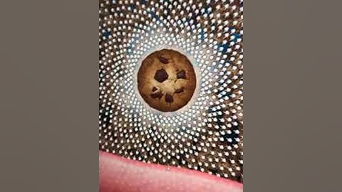 Cookie clicker hack (link in description for code)