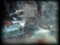 Nine Inch Nails - The Frail