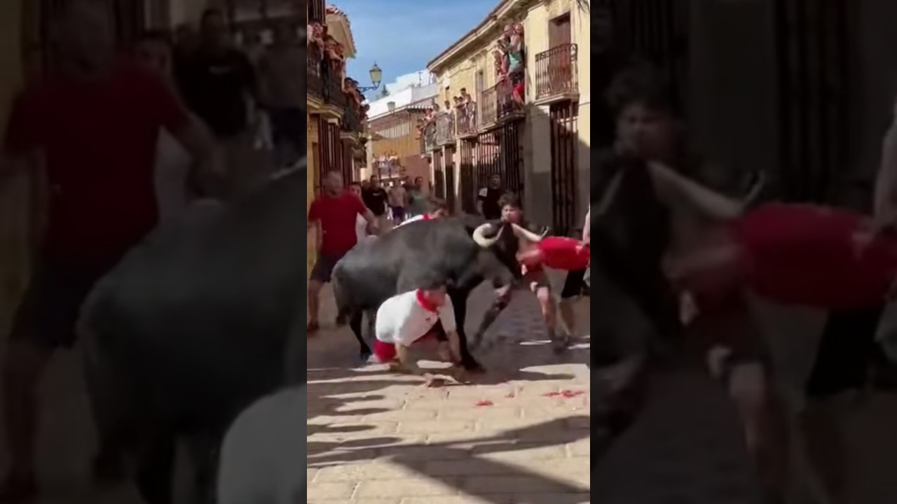 Running of the Bulls GONE WRONG! 😱