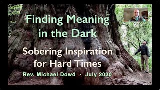 Finding Meaning in the Dark - Dowd (2020) Wealth
