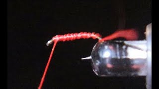 How to tie a blood worm Tracy's first fly