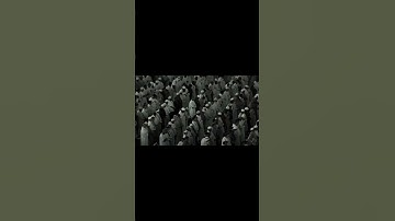 تلاوه خاشعه للقارئ الشيخ ماهر المعيقلي #قران #قران_كريم #قرآن #القران_الكريم #ماهر_المعيقلي