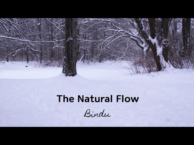 Sleduj Bindu - The Natural Flow na YouTube Sleduj Bindu - The Natural Flow na YouTube