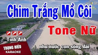 Karaoke Chim Trắng Mồ Côi Tone Nữ Nhạc Sống | Trọng Hiếu