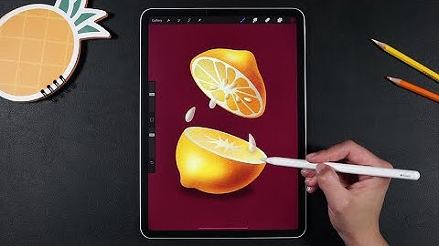 Procreate Animation Tutorial for Beginners