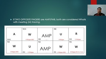 BHS+FBI EXTENSION - Rules on Amputated Fingers and Fingers Missing at Birth