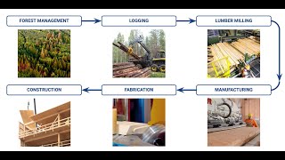 Oregon's Mass Timber Supply Chain and the Pulse on Global CLT Manufacturing - TDI Meetup 10 23 2020 Clt Becoming Another Timber Boom For Oregon