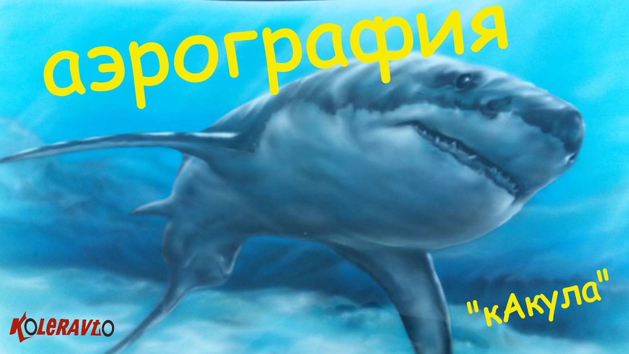 Аэрография акула на машине